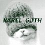 Karel Goth