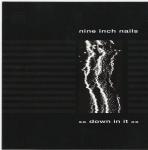 Nine Inch Nails - Down in It (Single)