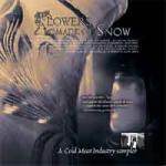 Various Artists - Flowers Made of Snow (A Cold Meat Label Sampler)