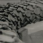 Triarii - Triumph (7''Single)