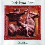 Pink Turns Blue - Eremite 