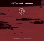 Different State - The Frigid Condition