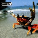 The Prodigy - The Fat of the Land (CD)