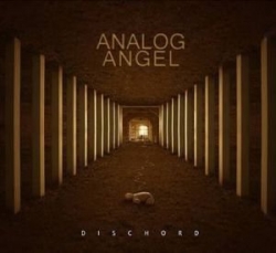 Analog Angel - Dischord