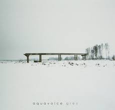Aquavoice - Grey