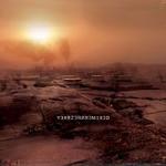 Nine Inch Nails - Y34RZ3R0R3MIX3D (Year Zero Remixed) (CD + DVD ROM)