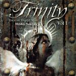 Various Artists - The Trinity Compilation CD 2 (Hidden Sanctuary) (CD)