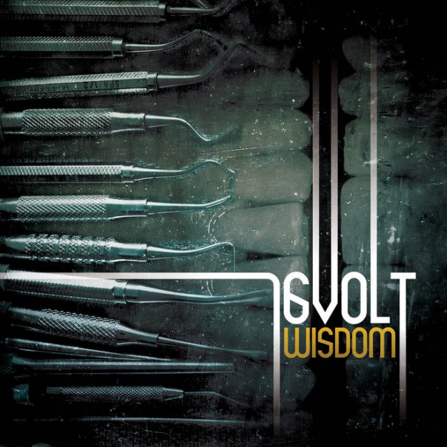 16 Volt - Wisdom